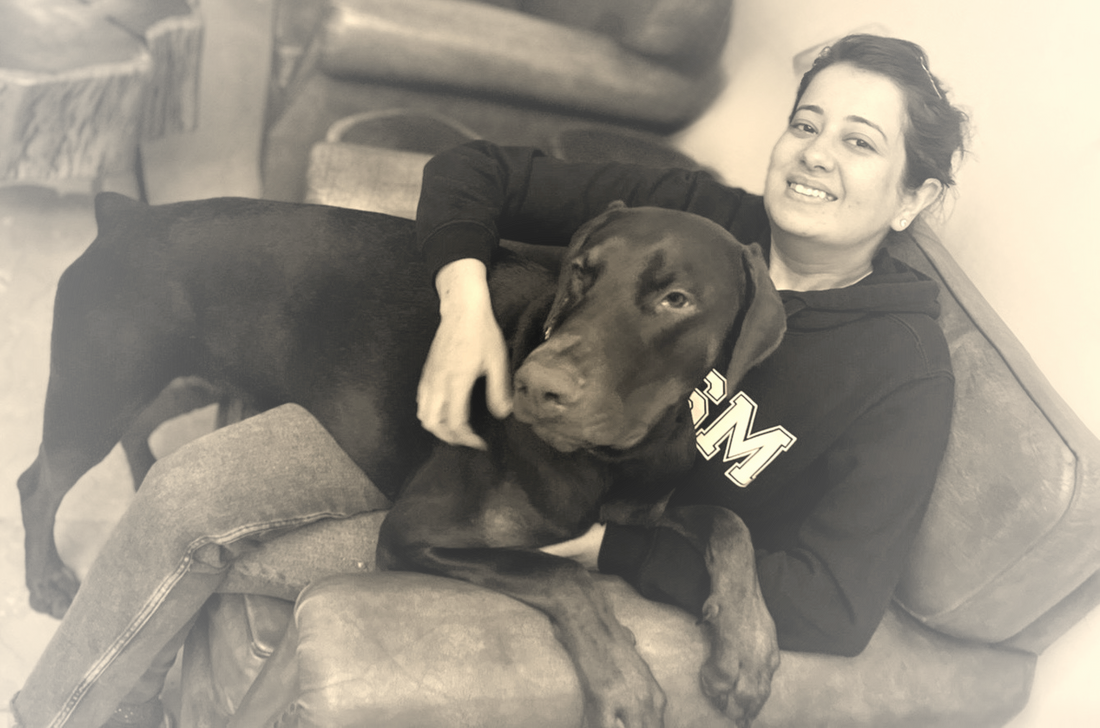 The PawPies Way: Training That Builds Trust, Not Just Tricks