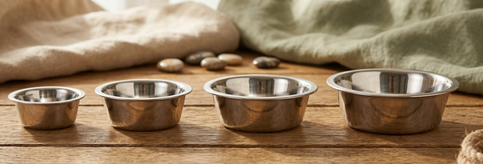Dog Bowls